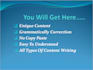 provide you unique article writing services