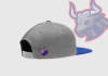 design snapback , cap unique design