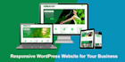 design wordpress website and fix bugs