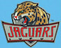 do premium 3d puff embroidery digitizing for caps and hats