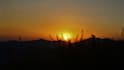 do any photography for you