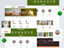 design a website for you