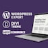 create responsive, blog and professional ecommerce websites