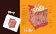 manually tracing bitmap or raster image to vector file
