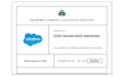 do salesforce commerce cloud development and bug fixing