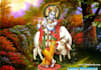 all type lord krishna pictures make