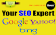 boost your website ranking with expert SEO services