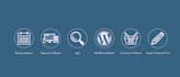 create a responsive and search engine optimized wordpress site or online store