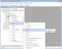 do any sql server database administration task and remotely support