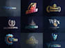 create logo and branding guideline