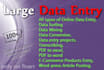 professional virtual assistant services