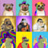 do digital 2d and 3d cartoon and nft traits