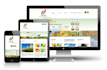 build professional eye catching website in 24 hours