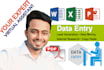 be your virtual assistant for data entry, data mining, copy paste, web research