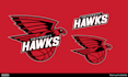 create logo football basketball team and other sports