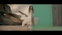 edit your videos with cinematic quality and precision