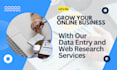 do any web research and data entry job