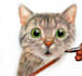 draw the best realistic pencil pet portrait drawing
