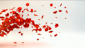 create an nature flower flying leaves intro