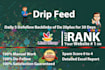 drip feed, daily 2 unique domian backlinks of da 20 plus