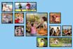 design an amazing photo collage and mosaic photo