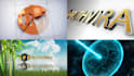 create professional logo animation intro videos