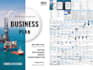 prepare business plans for sba, investors and visa purposes