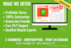design branded shopify store shopify website