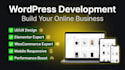 create wordpress website development, responsive website, business website