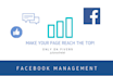 professionally manage your facebook business page