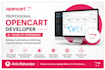 fix opencart and codeigniter issues, install and customize websites