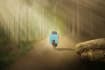 do photo manipulation, editing,retouching, and blend images