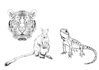 hand drawn wildlife vector animal illustration