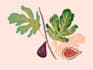 create visually rich and meaningful illustrations
