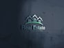 create business logo design professionally