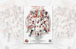 your graphic artist and designer in adobe illustrator, adobe photoshop work
