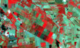 calculate ndvi and satellite images band combinations