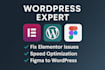 fix elementor issues and optimize speed on wordpress