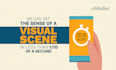 create a custom infographic explainer video