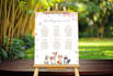seating chart, floor decal and backdrops for your party