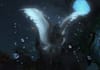 help you get white lanner in ffxiv