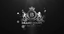 create luxury golden and silver intro logo animation
