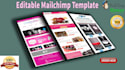 design editable responsive mailchimp email template,news letter,welcome template