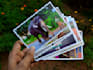 send 2 postcards from kerala, india to anyone anywhere