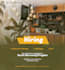 do outstanding  pro flyer and poster design