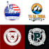 do professional shield, emblem logo design in 24 hours