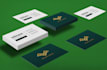 design professional business card and bonus