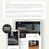 design, develop, or redesign a stunning wordpress website