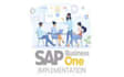 create company in sap business one ,data transfer , set ups