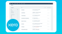 be your xero online consultant